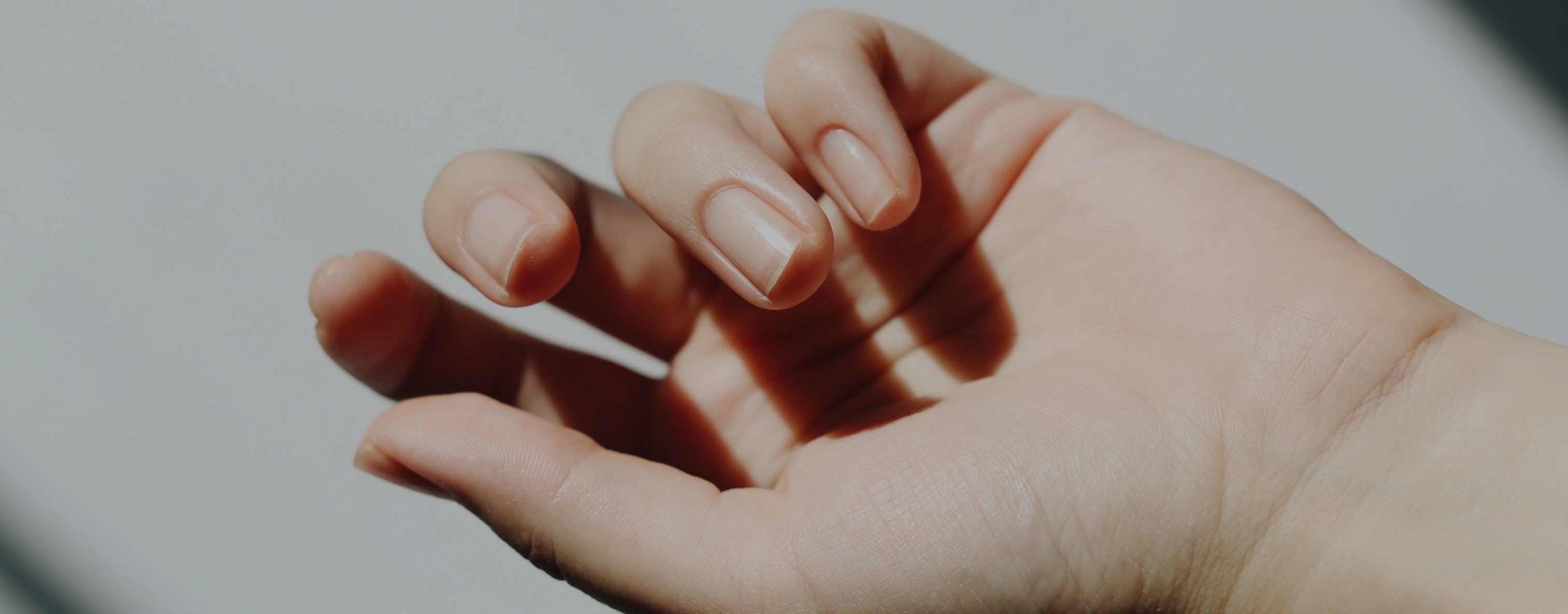 Close-up of a well-moisturized hand with a natural manicure, highlighting skin health and beauty. Sunlight casts gentle shadows.