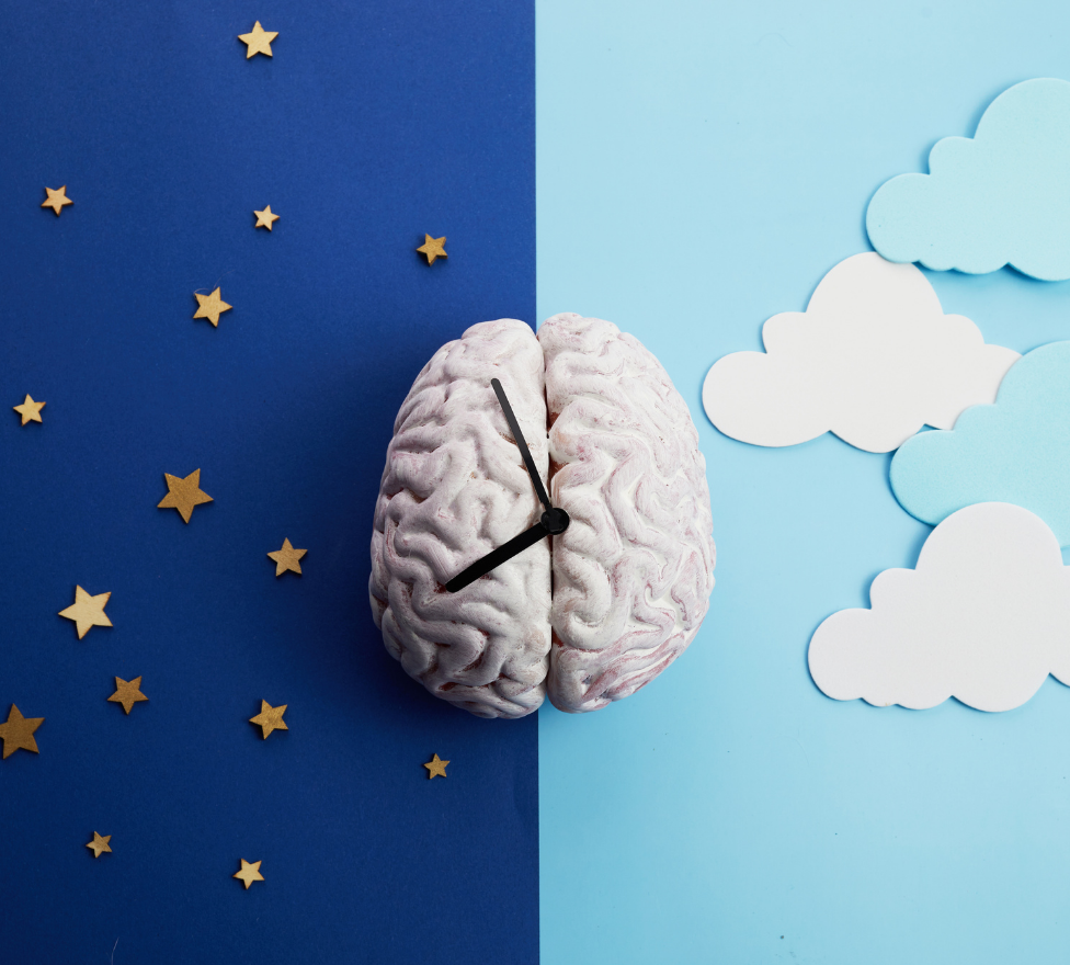 A brain with clock hands on a split background of blue with stars and light blue with clouds, symbolizing time, day and night.