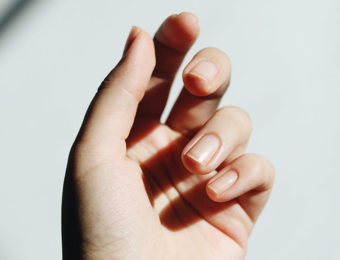 Close-up of a hand with healthy, natural nails in soft lighting, highlighting smooth skin and well-groomed appearance, suggesting beauty care.