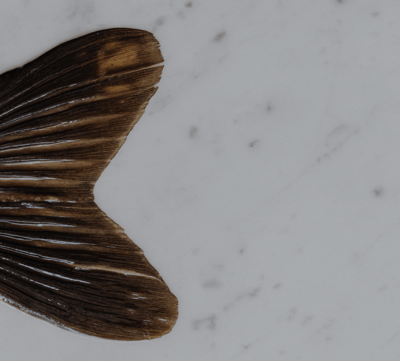 Close-up of a fish tail on a light marble surface, highlighting textured brown scales, symbolizing natural beauty and wellness.