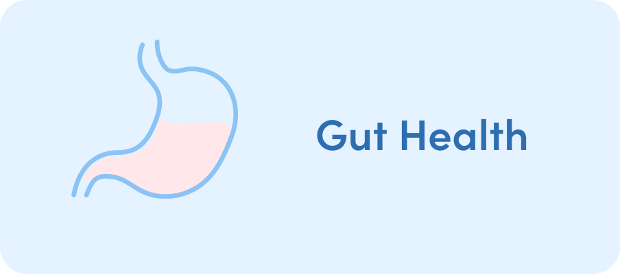 Collagen For Gut Health