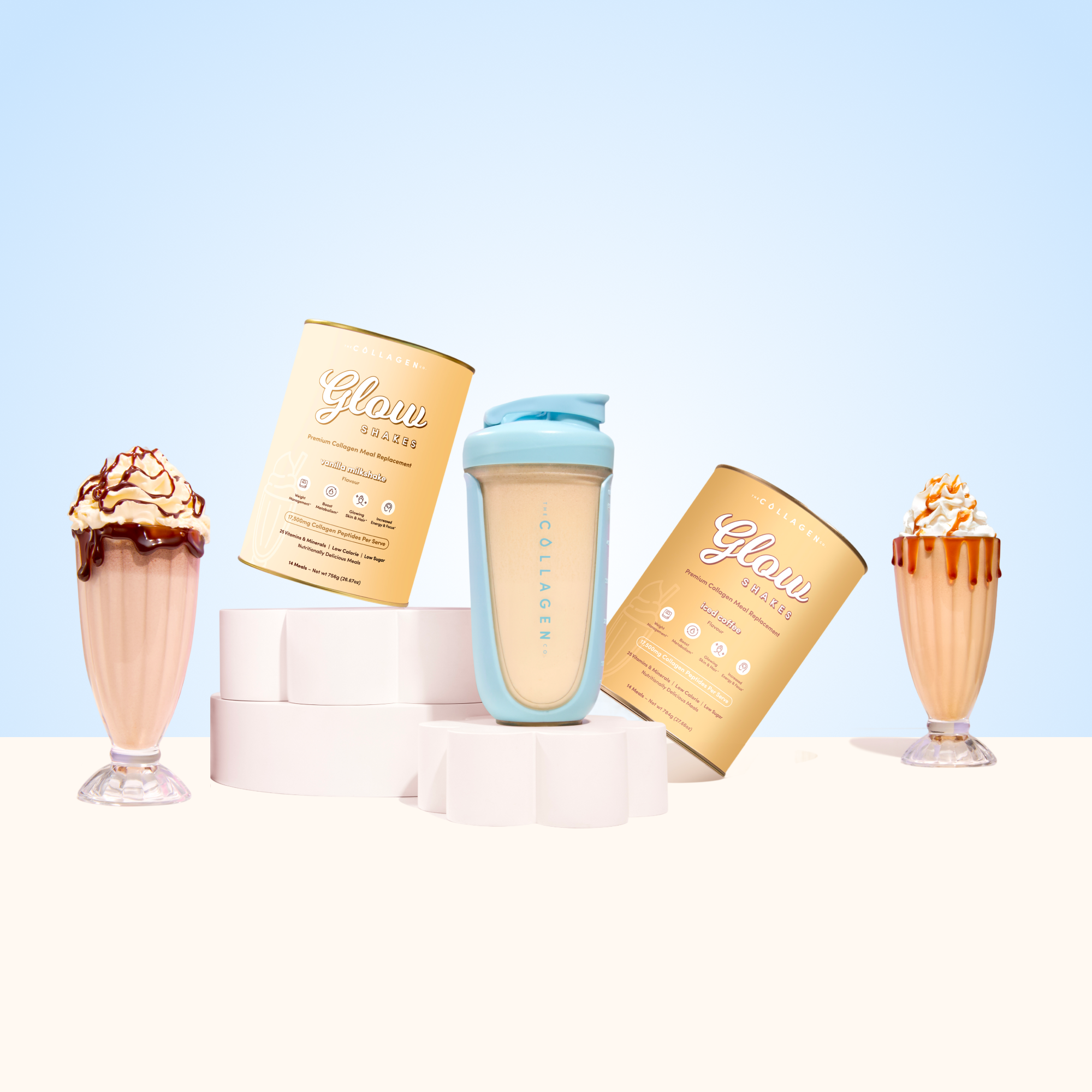 1 Shake A Day Plan