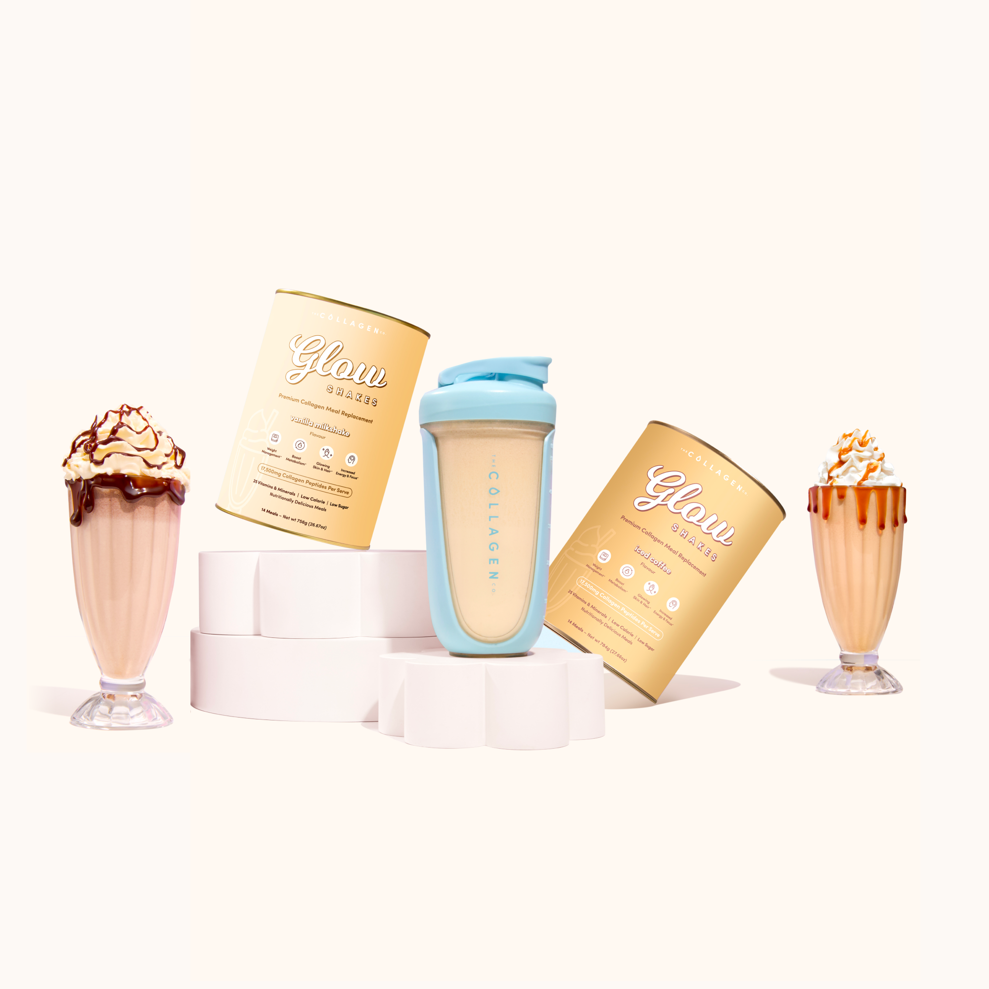 1 Shake A Day Plan