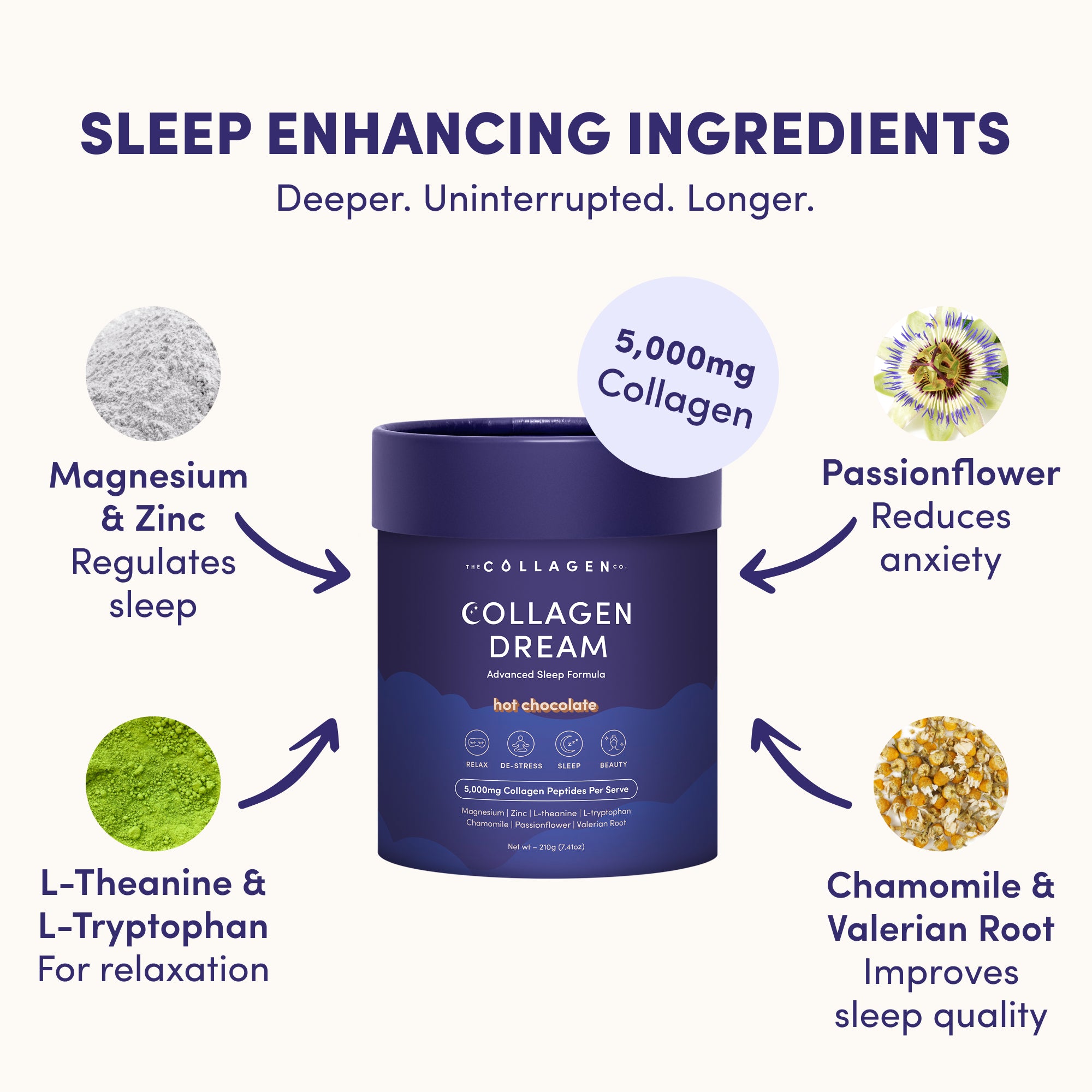A container of The Collagen Co. Collagen Dream Advanced Sleep Formula Hot Chocolate (210g) is surrounded by its relaxing ingredients: magnesium, zinc, passionflower, L-theanine, L-tryptophan, chamomile & valerian root for sleep and skin health.