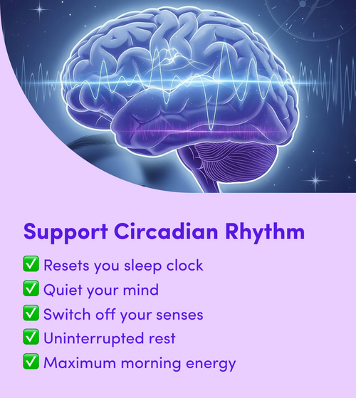 Illustration of a human brain with waves, above text that lists benefits of supporting circadian rhythm, including better sleep, quiet mind, sensory switch-off, restful sleep, and more morning energy.