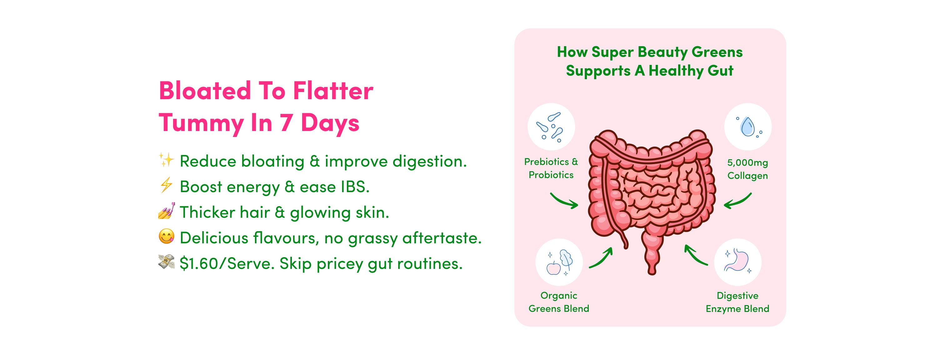 An infographic promoting a gut health supplement claims reduced bloating, improved digestion, better energy, thicker hair, and glowing skin within 7 days. It features a cartoon gut and lists key ingredients: prebiotics, probiotics, collagen, and enzymes.