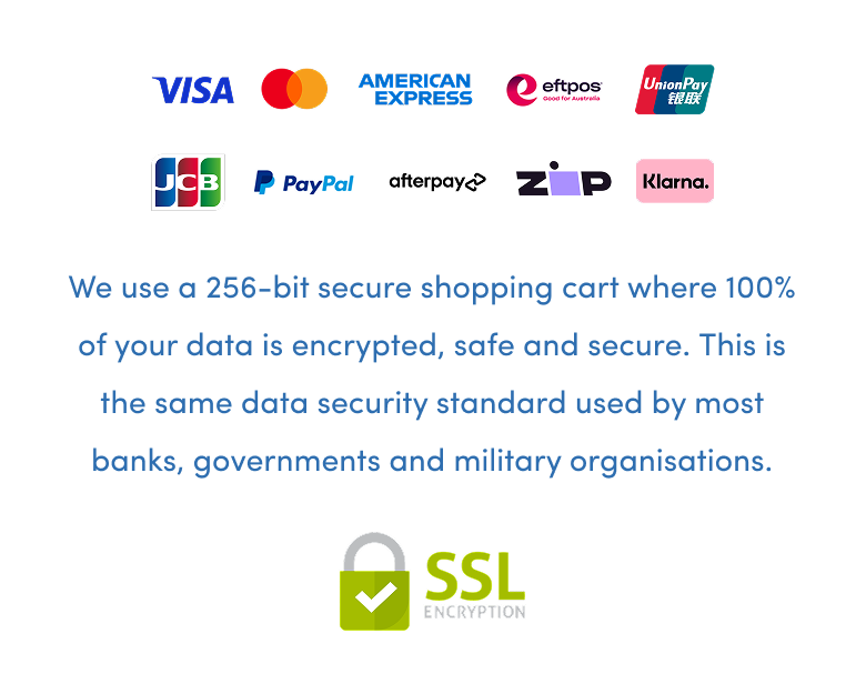 Logos of various payment methods appear above text stating the website uses 256-bit SSL encryption for secure shopping, ensuring data safety. A green lock icon and SSL ENCRYPTION are shown at the bottom.