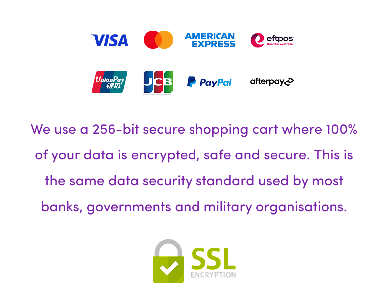 Logos of major payment methods above text stating that a 256-bit encrypted, secure shopping cart is used. Below the text is an SSL encryption icon with a green lock and checkmark.