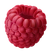 Elderberry & Raspberry